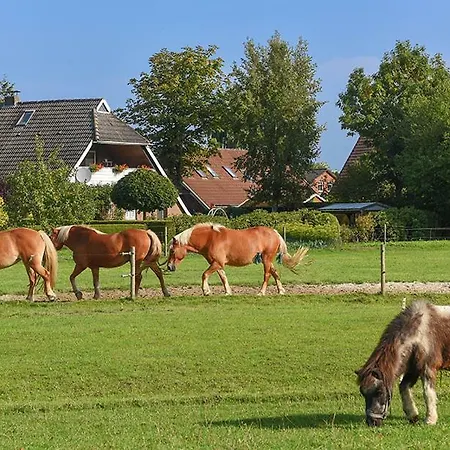 Ferienhof zur alten Linde Holtgast Exterior foto